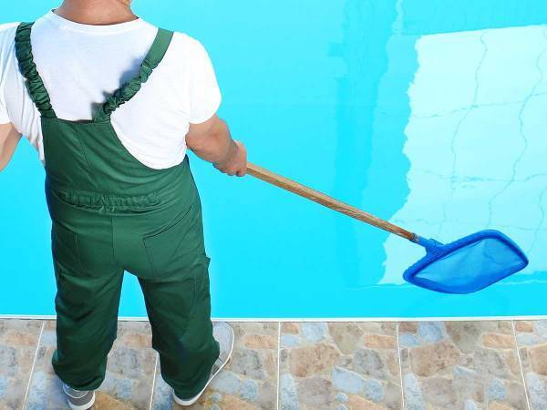 スタッフが水槽を掃除していると…？　寄ってきた動物に「かわいい」「癒される」