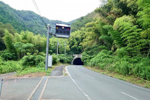 道路で「変わった色の電球だなぁ」と思ったら？　正体に「奇跡的だ」「すごすぎる」