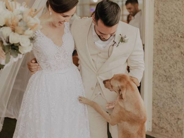 結婚式に紛れ込んだ野良犬が、新郎新婦を祝福！　続く展開に「感動した」