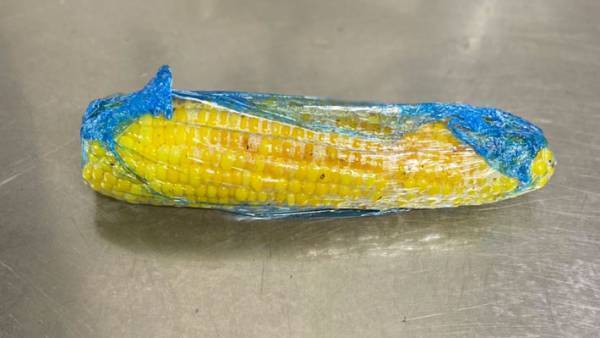 「絶対おいしいやつ」　家庭で作れる、燻製のような『トウモロコシ』に反響