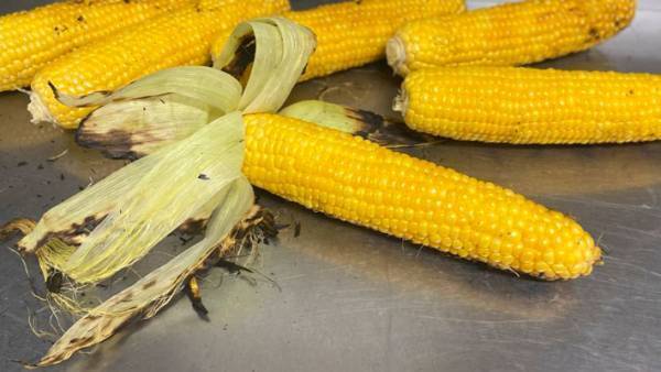 「絶対おいしいやつ」　家庭で作れる、燻製のような『トウモロコシ』に反響