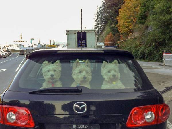 遅刻理由に１０万超の『いいね』　「これは仕方がない」「誰も責められない」