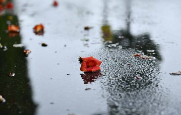 「言葉に心をこめる」というテーマは、生き方の美しさにつながっている