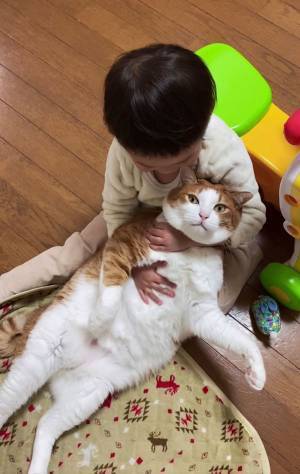 ４歳児にされるがままの猫　飼い主が察した猫の『心の声』に腹筋崩壊