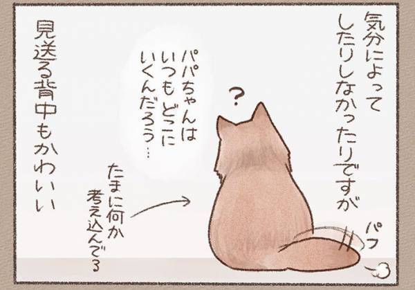 玄関で見送りをするようになった猫　タイミングが合わずに失敗すると…