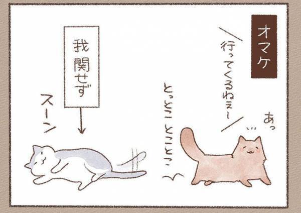 玄関で見送りをするようになった猫　タイミングが合わずに失敗すると…