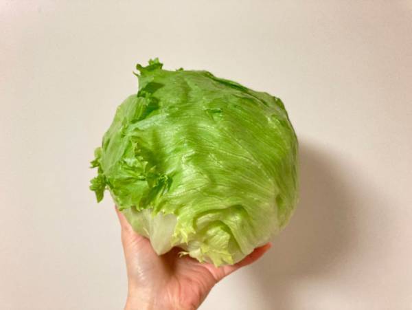 全農がすすめる『レタス料理』が話題　「１玉すぐ食べれちゃう」
