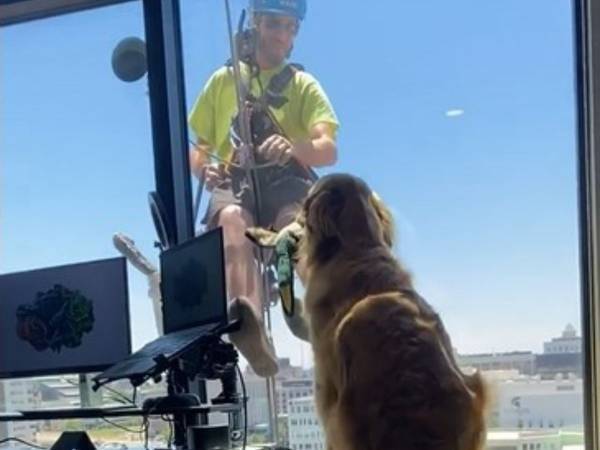 「お兄さん、これ！」　フレンドリーすぎる犬の行動に２６万『いいね』