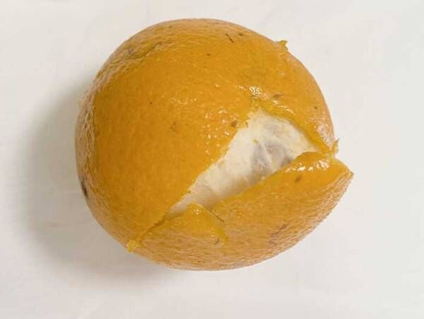 パンの袋を留める『あれ』　オレンジの皮むきに使えるって本当？