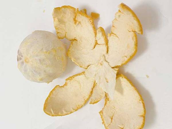 パンの袋を留める『あれ』　オレンジの皮むきに使えるって本当？