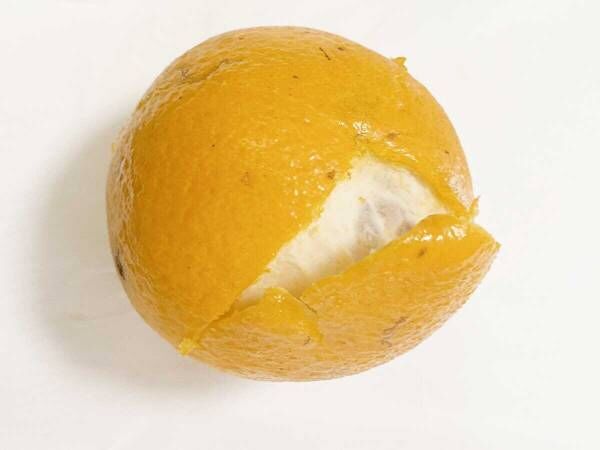 パンの袋を留める『あれ』　オレンジの皮むきに使えるって本当？