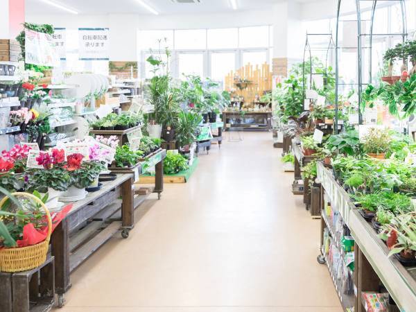 スーパーで危機一髪！　園芸コーナーで『避けられている人』がいると思ったら？