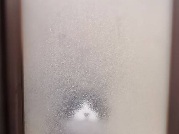 「笑った」「圧がすごい」　お風呂に入っていた飼い主　すると、猫が？