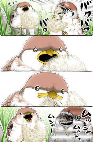 兄にタンポポの綿毛をもらったスズメ　展開に「変な声が出た」「表情で吹く」