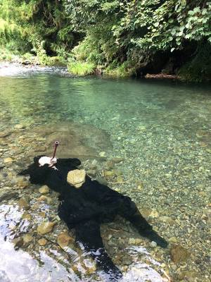 猛暑に参った『令和の忍者』　我流の涼み方に「難易度が高すぎ」「吹いた」