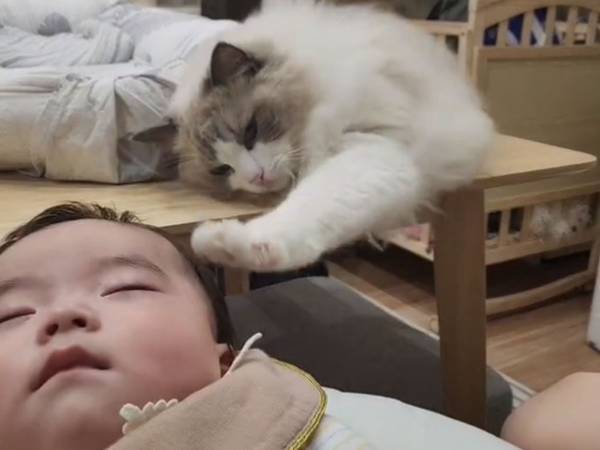 赤ちゃんがスヤスヤ　それを見た猫の行動に「頼もしいですね」「思わずにやけた」