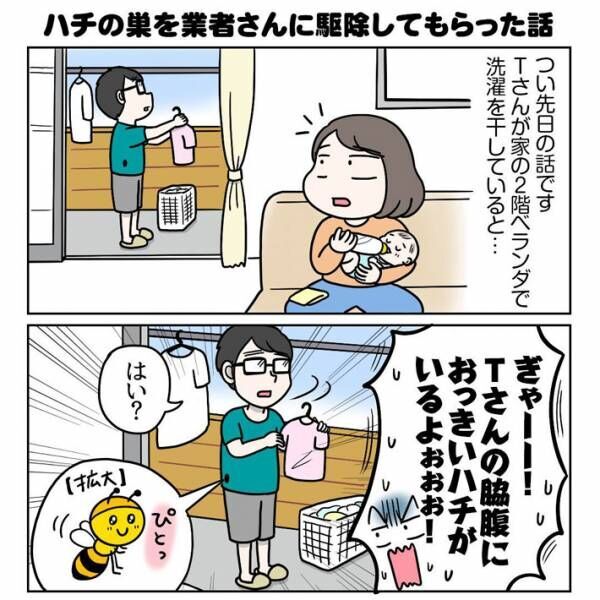 家の外壁にアシナガバチの巣が…　ネットで見つけた『駆除業者』を呼ぶと？