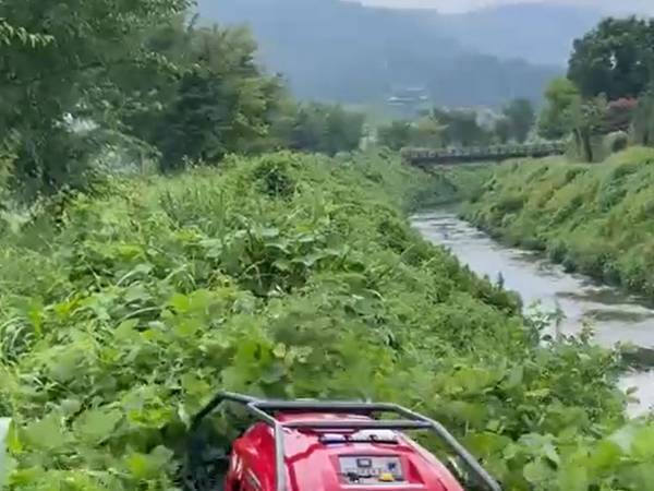 数mは超えていた雑草　機械がその中に入っていくと「すごすぎる！」