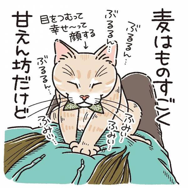 「恥ずかしがり屋さん！」　横たわる飼い主の上に乗って甘える猫　夫が近付くと？