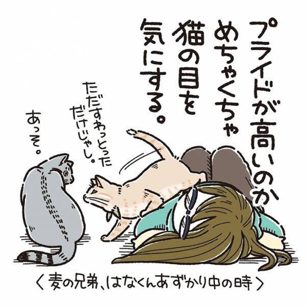 「恥ずかしがり屋さん！」　横たわる飼い主の上に乗って甘える猫　夫が近付くと？