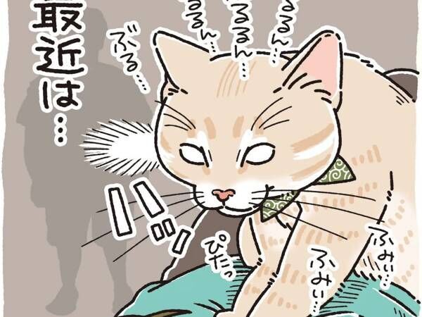 恥ずかしがり屋さん 横たわる飼い主の上に乗って甘える猫 夫が近付くと 22年7月27日 ウーマンエキサイト 恥ずかしがり屋さん 横たわる飼い主の上に乗って甘える猫 夫が近付くと 22年7月27日 ウーマンエキサイト