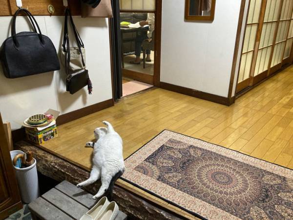 実家の玄関を開けた瞬間、目に飛び込んできた光景　「飲みすぎたサラリーマン？」