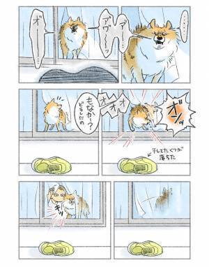 飼い主も認める優秀な番犬ぶり　しかし、窓越しに威嚇していたのは？