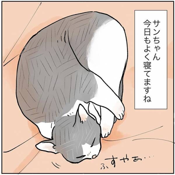 眠る猫の隣で寝た飼い主　目を覚ますと、心震える光景が！