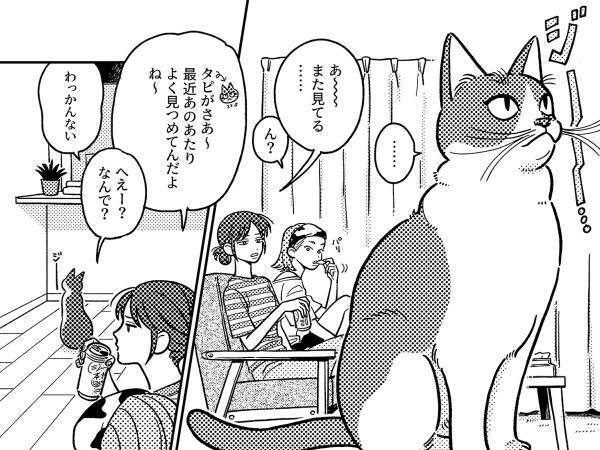 虚空を見つめる猫　飼い主が『見えない訪問者』に愛猫を紹介すると？