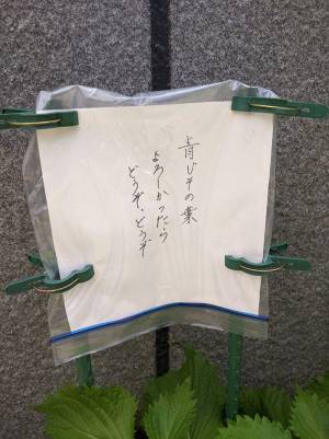 青じその後ろに貼り紙が　『優しい３行』に「たまらなく好き」「こういうの、嬉しいな！」