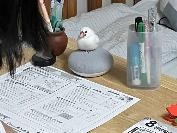 夏休みの宿題をする娘の『監督』に「集中できなくなりそう！」