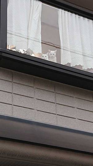 「後ろ髪を引かれる思いになった」　自宅の窓を見ると？