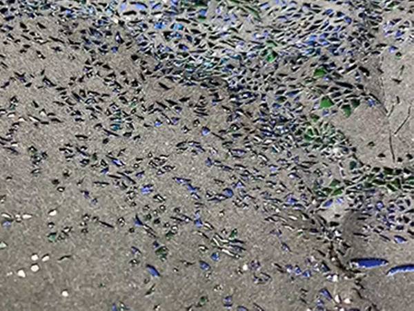 キラキラしている、黒い紙　持ち上げてみると…「すげぇ！」「びっくりした」