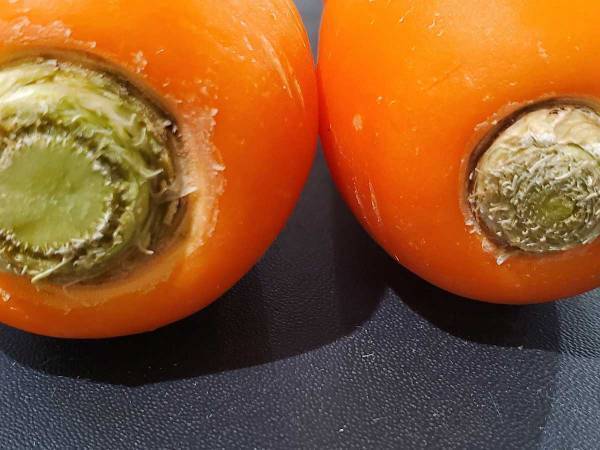 おいしいニンジンの見分け方に「な、なんだってー！」「逆に選んでた」