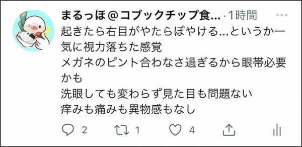ある日突然、右目だけ視力が下がった…？　４時間後、判明した『原因』に爆笑