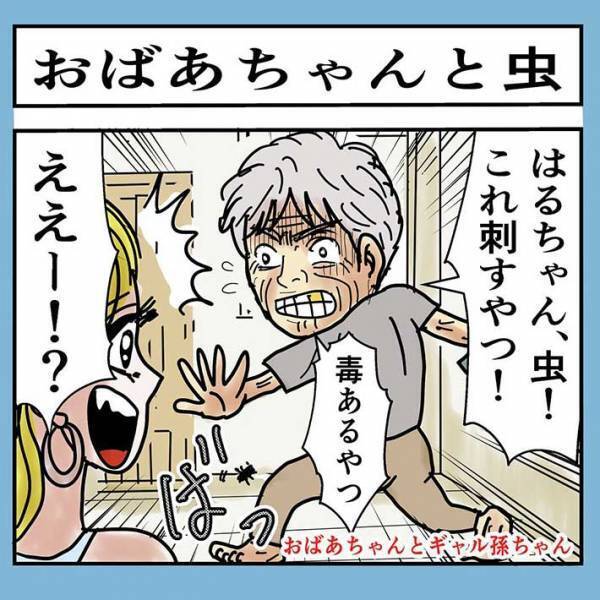 「駆逐してやる！」　虫を倒してくれた頼もしいおばあちゃん　よく見るとそれは…