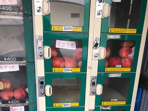モモの産地ならではの光景が「最強」　うらやましくなる『ロッカー型自動販売機』がこちら