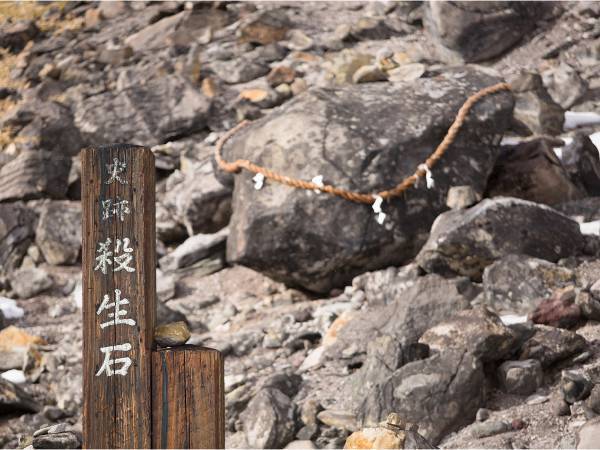 『最強どん兵衛』シリーズが人気の理由？　まさかの発表にネット騒然！