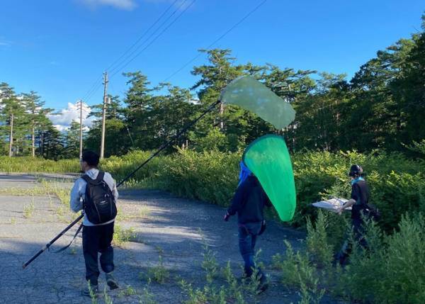 「星空に雲海…」長野県に『日本一空に近いキャンプ場』がオープン！