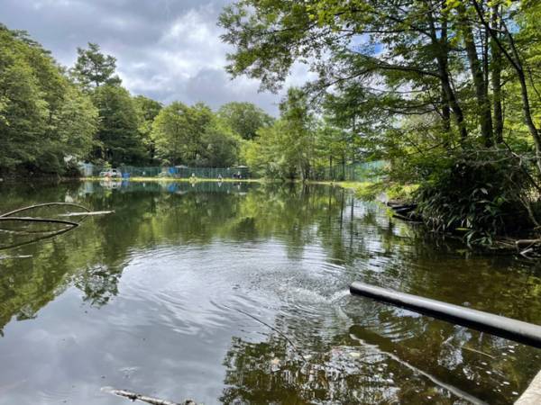 「星空に雲海…」長野県に『日本一空に近いキャンプ場』がオープン！