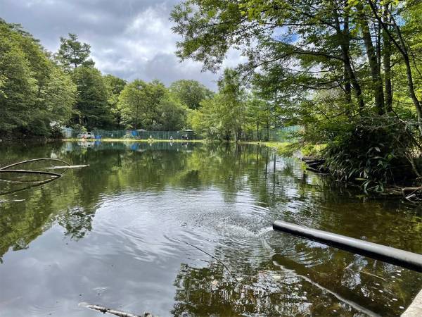 「星空に雲海…」長野県に『日本一空に近いキャンプ場』がオープン！