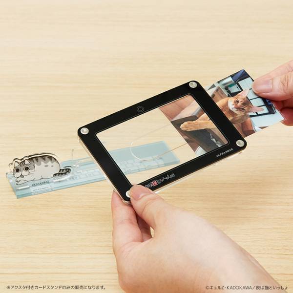 『夜は猫といっしょ』Tカードが数量限定で発行！　キュルガと一緒にいられるグッズも