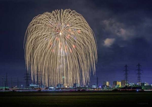 ３年ぶりに開催された『長岡まつり大花火大会』　壮大な光景に、息を呑む