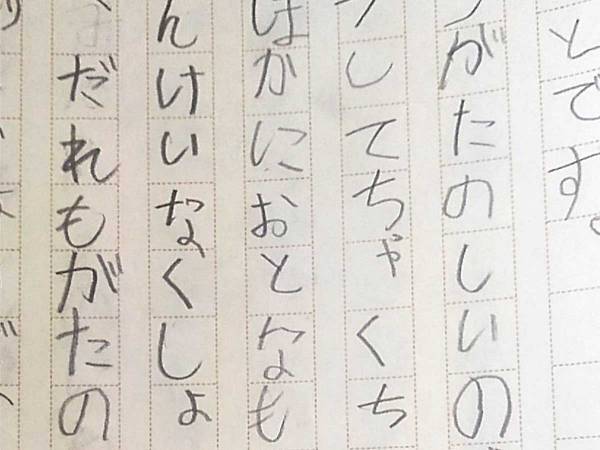 「感動した」「胸が熱くなる！」　ラジコンが好きな小学１年生、書いた作文が…？