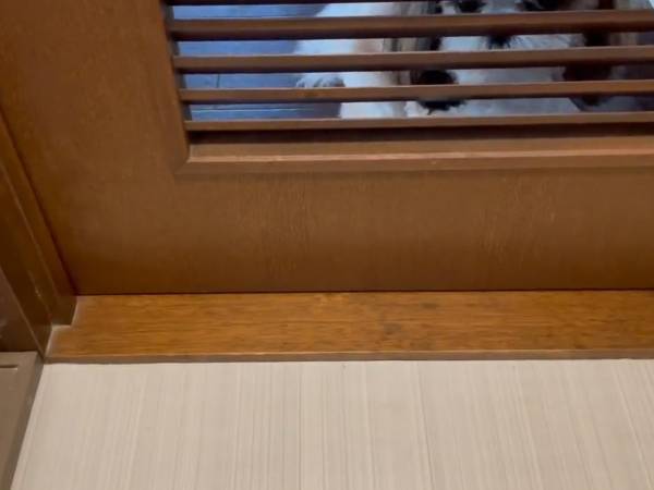 「これ、お客さんにはやるなよ！」　トイレで落ち着けない理由に「笑った」「これはキツい」