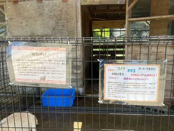 動物にエサをやれる施設　飼育員からのメッセージに「大切なこと」「客だから何してもいいわけじゃないよね」