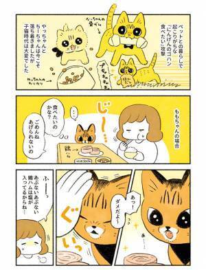 「こんなにおとなしい顔をしてるけど…」　愛猫のハングリー精神に飼い主も驚き！