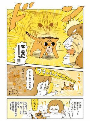 「こんなにおとなしい顔をしてるけど…」　愛猫のハングリー精神に飼い主も驚き！