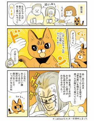 「こんなにおとなしい顔をしてるけど…」　愛猫のハングリー精神に飼い主も驚き！