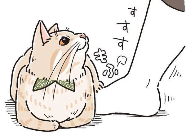香箱座りをする猫に、飼い主夫婦が片足を突っ込むと？　「笑ってしまった」「ある意味愛されてる！」